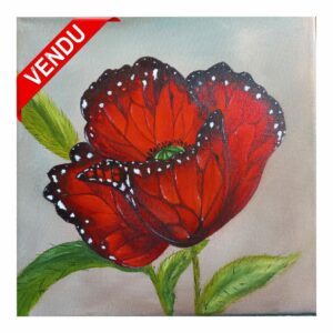 Fleur aux pétales de papillon coquelicot