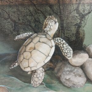 Atelier " Tortue " 3h le jeudi 31 juillet 2025 14h 17h