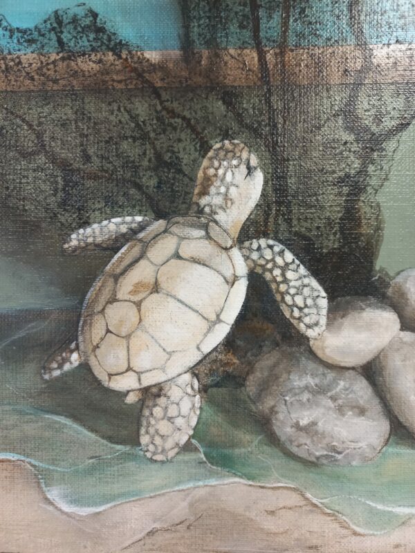 Atelier " Tortue " 3h le jeudi 31 juillet 2025 14h 17h