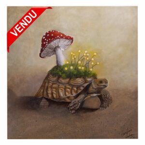 "Les lucioles et la tortue"