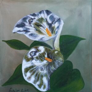 Fleurs aux ailes de papillons d'Arum